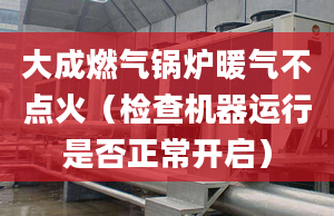 大成燃气锅炉暖气不点火（检查机器运行是否正常开启）