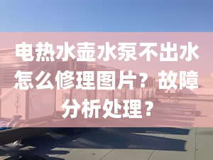 电热水壶水泵不出水怎么修理图片？故障分析处理？