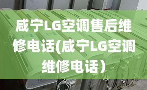 咸宁LG空调售后维修电话(咸宁LG空调维修电话）