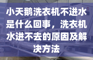 小天鹅洗衣机不进水是什么回事，洗衣机水进不去的原因及解决方法