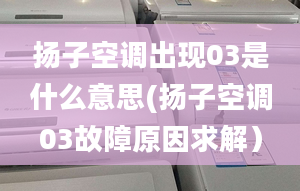 扬子空调出现03是什么意思(扬子空调03故障原因求解）