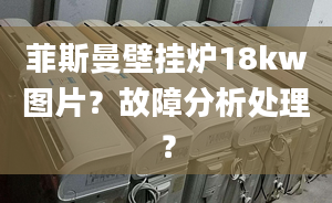 菲斯曼壁挂炉18kw图片？故障分析处理？