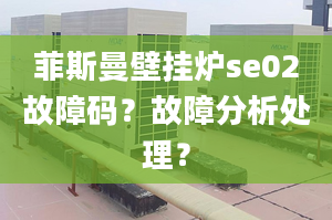 菲斯曼壁挂炉se02故障码？故障分析处理？