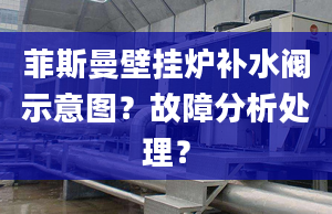 菲斯曼壁挂炉补水阀示意图？故障分析处理？