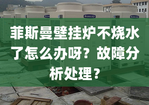 菲斯曼壁挂炉不烧水了怎么办呀？故障分析处理？