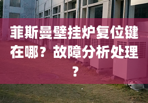 菲斯曼壁挂炉复位键在哪？故障分析处理？