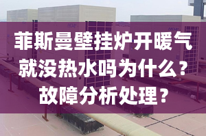 菲斯曼壁挂炉开暖气就没热水吗为什么？故障分析处理？