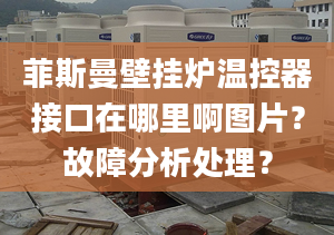 菲斯曼壁挂炉温控器接口在哪里啊图片？故障分析处理？