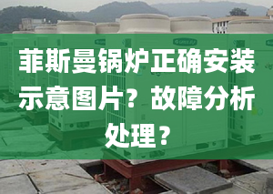 菲斯曼锅炉正确安装示意图片？故障分析处理？