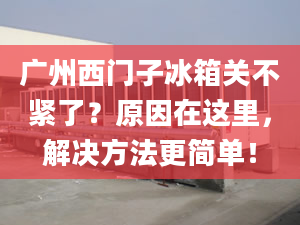 广州西门子冰箱关不紧了？原因在这里，解决方法更简单！