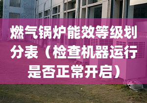 燃气锅炉能效等级划分表（检查机器运行是否正常开启）