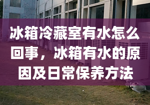 冰箱冷藏室有水怎么回事，冰箱有水的原因及日常保养方法