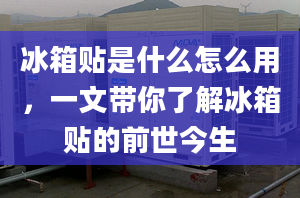 冰箱贴是什么怎么用，一文带你了解冰箱贴的前世今生