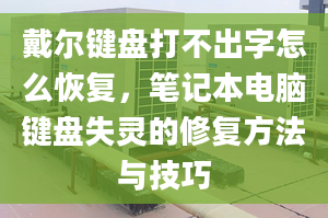 戴尔键盘打不出字怎么恢复，笔记本电脑键盘失灵的修复方法与技巧