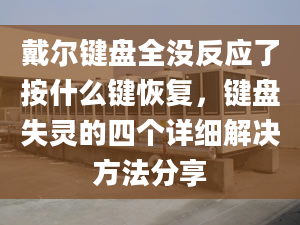 戴尔键盘全没反应了按什么键恢复，键盘失灵的四个详细解决方法分享