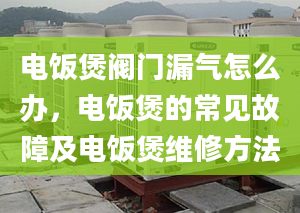 电饭煲阀门漏气怎么办，电饭煲的常见故障及电饭煲维修方法