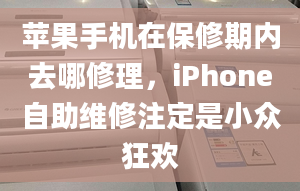 苹果手机在保修期内去哪修理，iPhone自助维修注定是小众狂欢