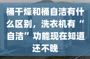 桶干燥和桶自洁有什么区别，洗衣机有“自洁”功能现在知道还不晚