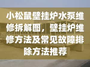 小松鼠壁挂炉水泵维修拆解图，壁挂炉维修方法及常见故障排除方法推荐