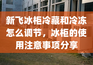 新飞冰柜冷藏和冷冻怎么调节，冰柜的使用注意事项分享