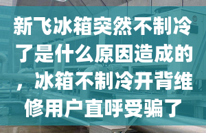 新飞冰箱突然不制冷了是什么原因造成的，冰箱不制冷开背维修用户直呼受骗了