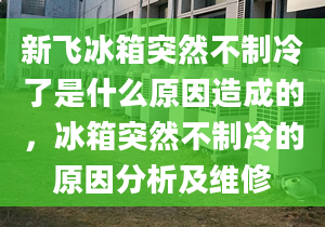 新飞冰箱突然不制冷了是什么原因造成的，冰箱突然不制冷的原因分析及维修