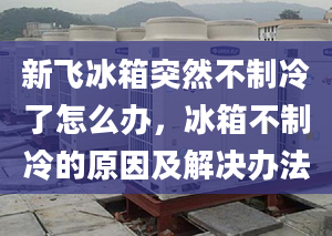 新飞冰箱突然不制冷了怎么办，冰箱不制冷的原因及解决办法