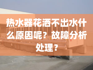 热水器花洒不出水什么原因呢？故障分析处理？