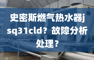 史密斯燃气热水器jsq31cld？故障分析处理？