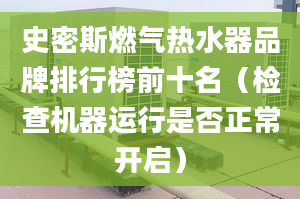 史密斯燃气热水器品牌排行榜前十名（检查机器运行是否正常开启）