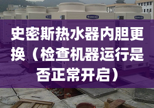 史密斯热水器内胆更换（检查机器运行是否正常开启）