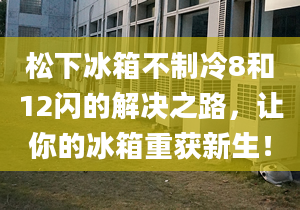 松下冰箱不制冷8和12闪的解决之路，让你的冰箱重获新生！