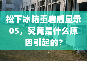 松下冰箱重启后显示05，究竟是什么原因引起的？