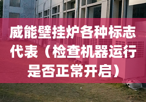 威能壁挂炉各种标志代表（检查机器运行是否正常开启）