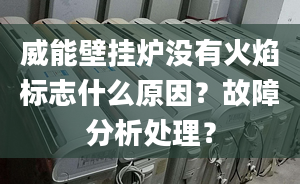 威能壁挂炉没有火焰标志什么原因？故障分析处理？