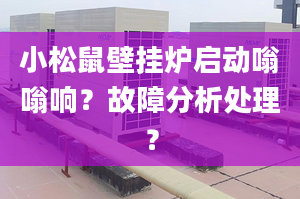 小松鼠壁挂炉启动嗡嗡响？故障分析处理？