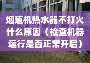 烟道机热水器不打火什么原因（检查机器运行是否正常开启）