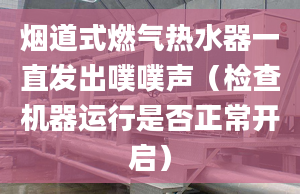 烟道式燃气热水器一直发出噗噗声（检查机器运行是否正常开启）