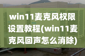 win11麦克风权限设置教程(win11麦克风回声怎么消除)