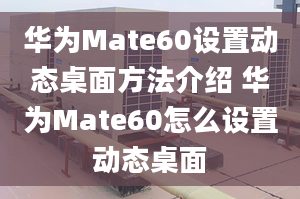 华为Mate60设置动态桌面方法介绍 华为Mate60怎么设置动态桌面