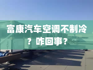 富康汽车空调不制冷？咋回事？