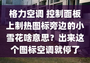 格力空调 控制面板上制热图标旁边的小雪花啥意思？出来这个图标空调就停了