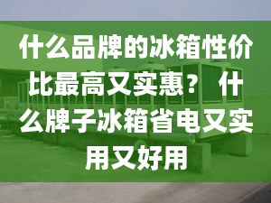 什么品牌的冰箱性价比最高又实惠？ 什么牌子冰箱省电又实用又好用