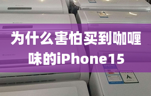 为什么害怕买到咖喱味的iPhone15