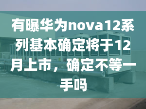 有曝华为nova12系列基本确定将于12月上市，确定不等一手吗