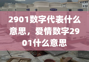 2901数字代表什么意思，爱情数字2901什么意思