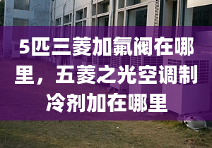 5匹三菱加氟阀在哪里，五菱之光空调制冷剂加在哪里