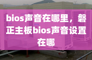 bios声音在哪里，磐正主板bios声音设置在哪