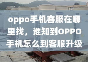 oppo手机客服在哪里找，谁知到OPPO手机怎么到客服升级