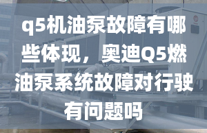 q5机油泵故障有哪些体现，奥迪Q5燃油泵系统故障对行驶有问题吗